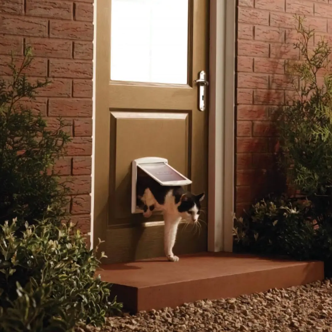 PetSafe 700 Kattenluik - S - Wit - afbeelding 4 van 5