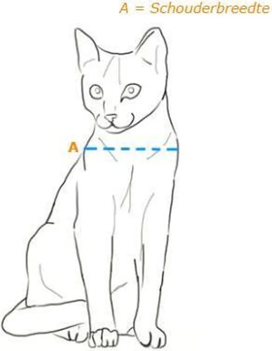 Petsafe 919 Classic - Wit - Kattenluik - 22,4 x 22,4 x 22,4 cm - afbeelding 5 van 6