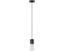 Paulmann Filament LED-kolf ST64 E27 7,5W 806lm - Helder - afbeelding 6 van 6