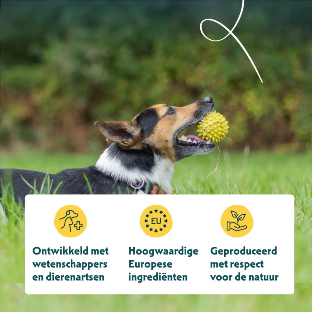 Yarrah Biologisch Hondenvoer Small Breed Kip - 5 kg - afbeelding 6 van 6