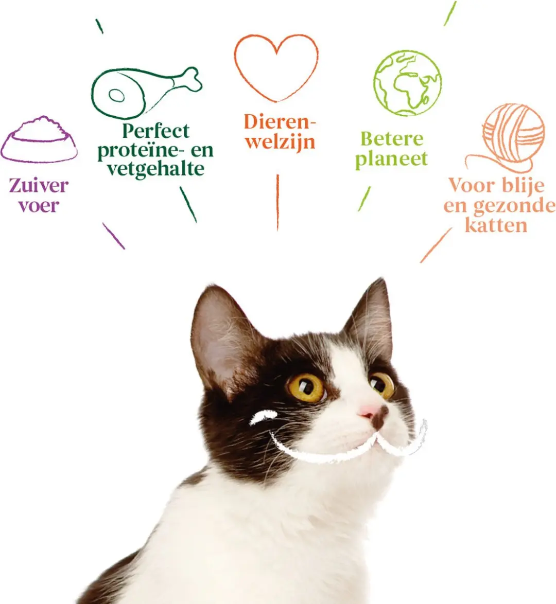 Yarrah Bio Kattenvoer Paté Zalm 100g - afbeelding 5 van 6