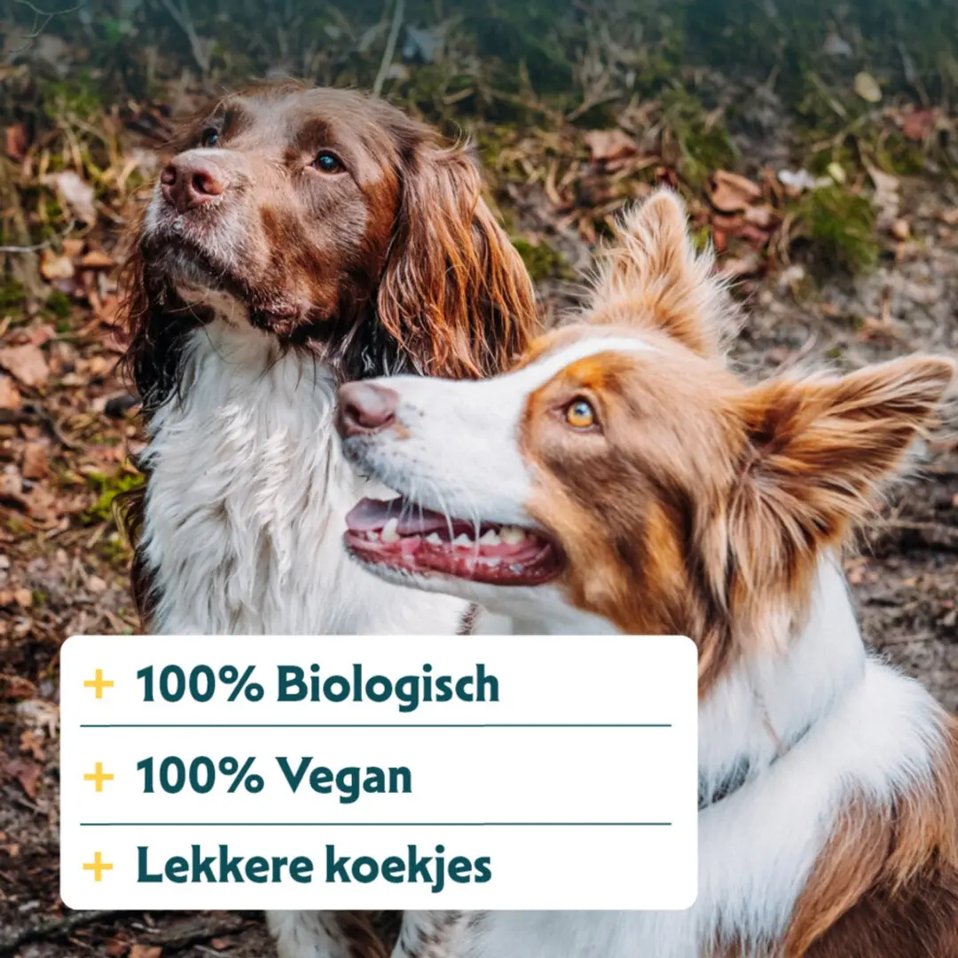 Yarrah Bio Multi-Koekjes Vegetarisch 250g - 6x - afbeelding 3 van 6