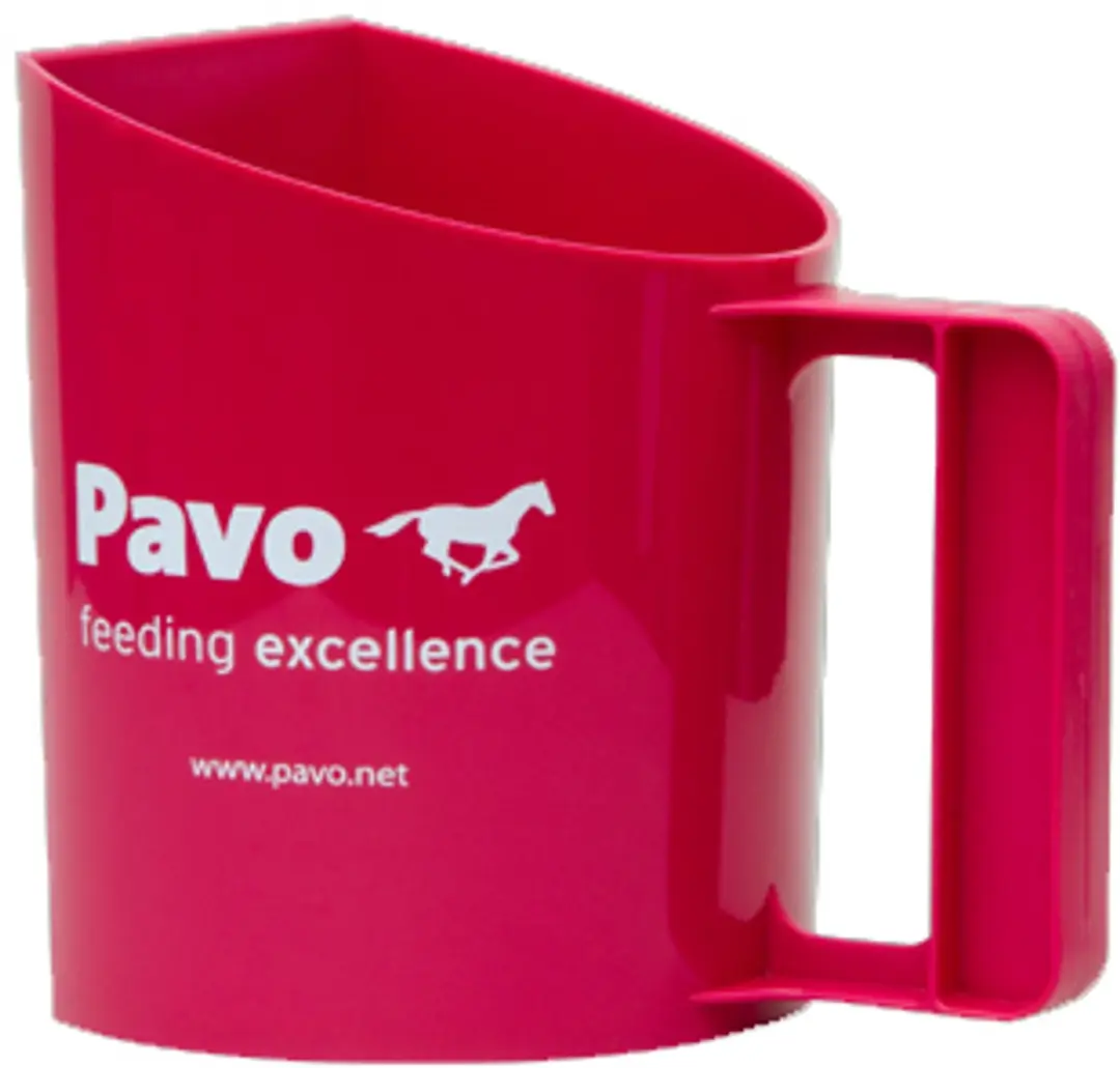 Pavo Voerschep - afbeelding 2 van 6