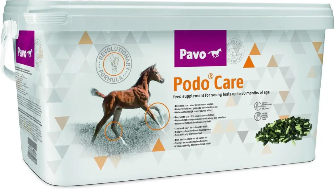 Pavo Podocare