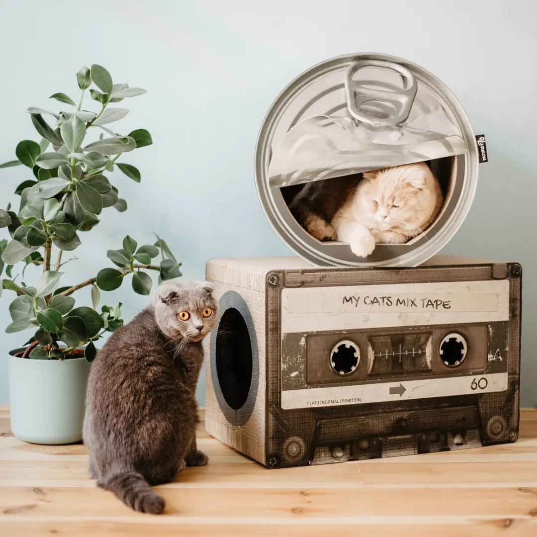 District 70 Mixtape Krabpaal - Zwart - L - afbeelding 6 van 6