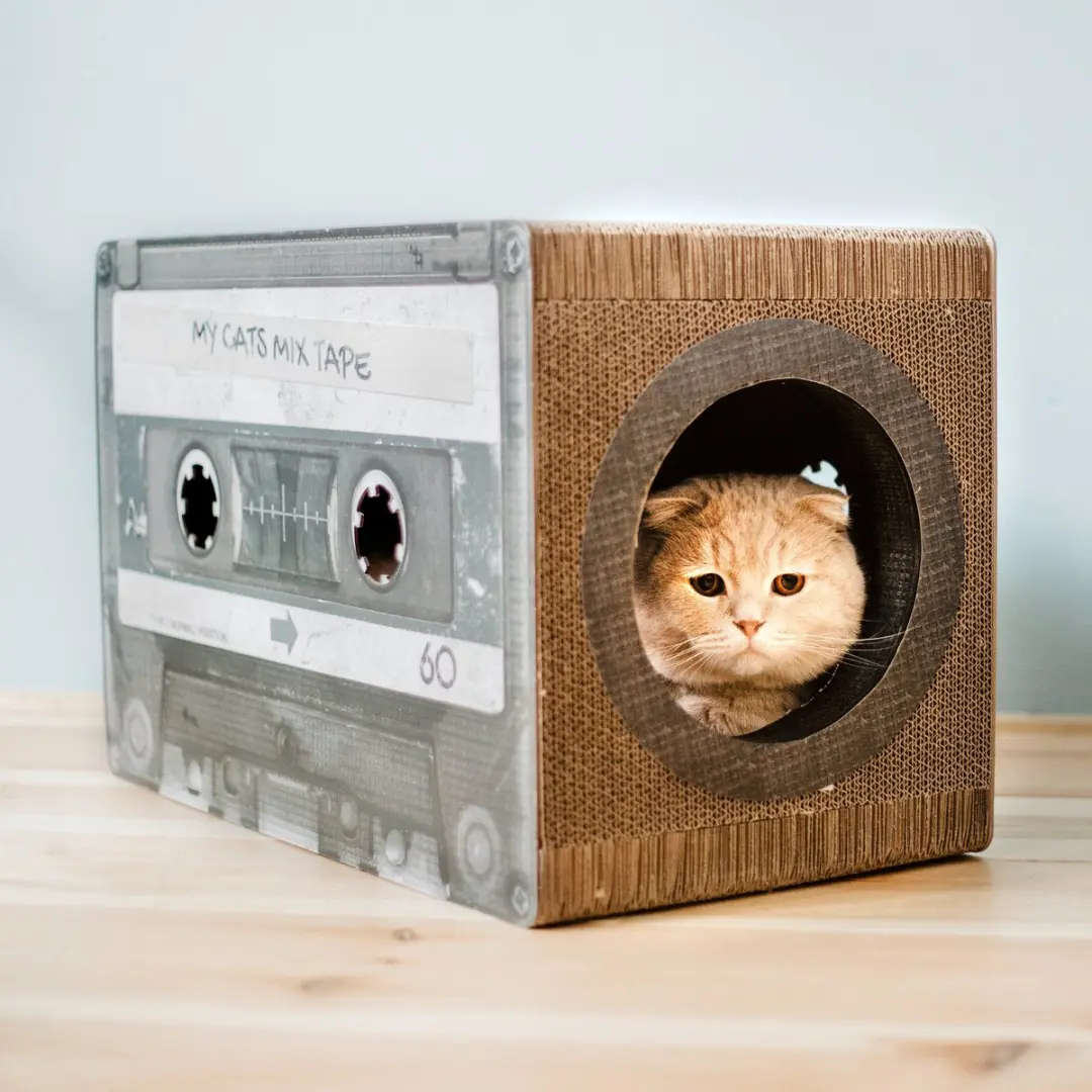 District 70 Mixtape Krabpaal - Zwart - L - afbeelding 5 van 6