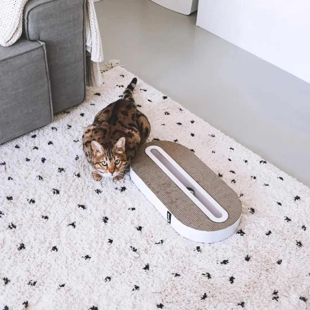 District 70 Track kattenspeelgoed - 52x26x6cm - Zwart - afbeelding 4 van 6