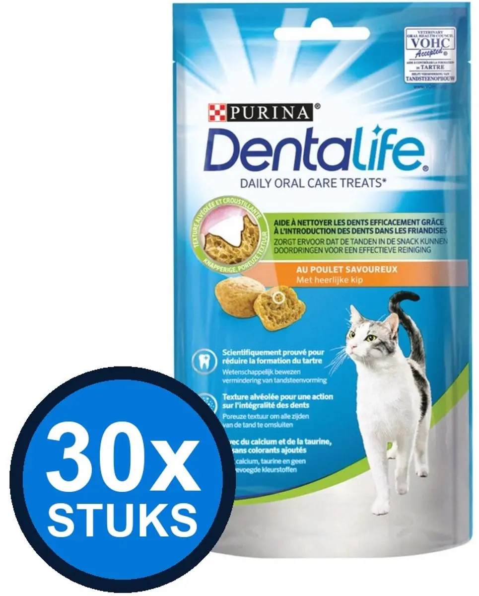 30x Dentalife