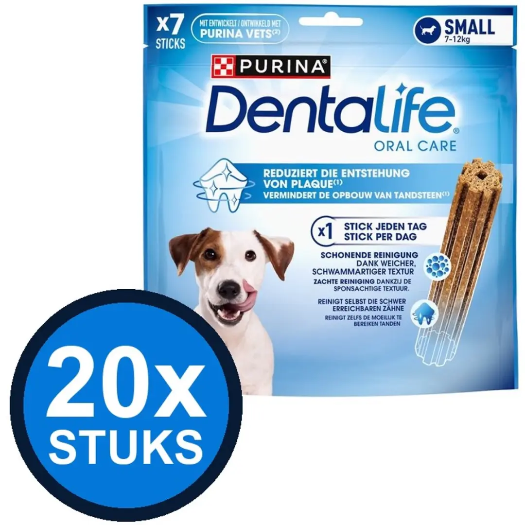 20x Dentalife
