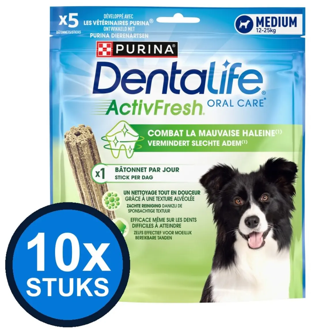 10x Dentalife