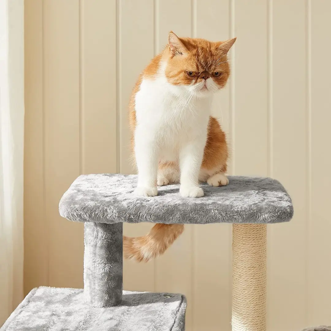 FEANDREA Krabpaal voor Katten 84cm - Lichtgrijs - afbeelding 5 van 6