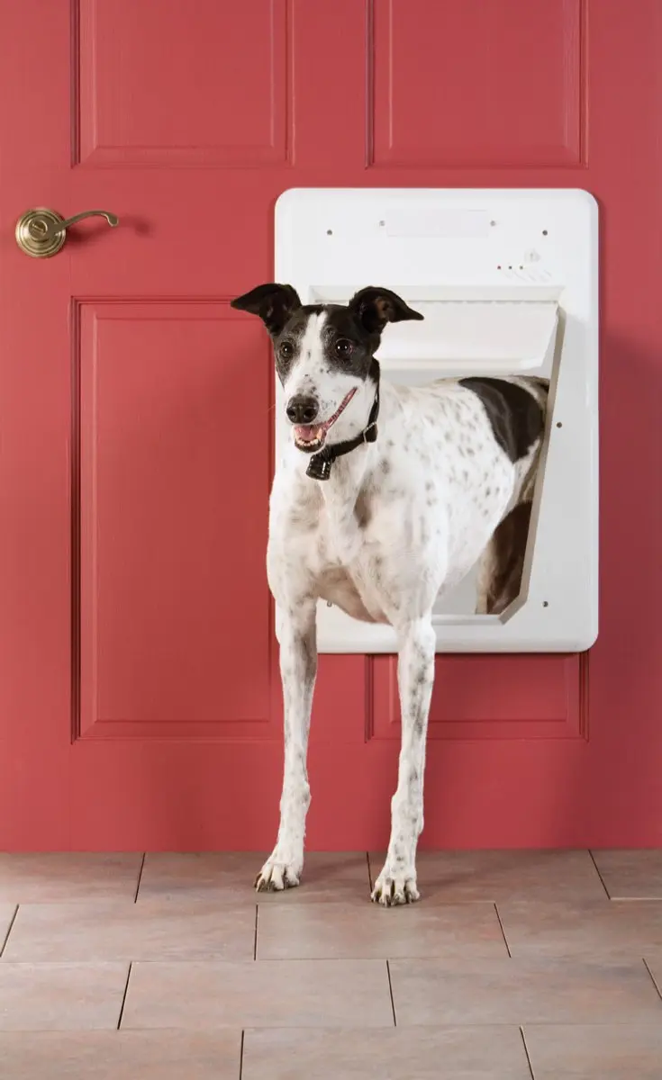 PetSafe SmartDoor Elektronisch Hondenluik - L - Wit - afbeelding 3 van 6
