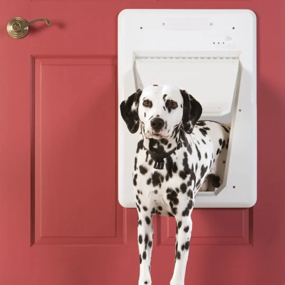 PetSafe SmartDoor Elektronisch Hondenluik - L - Wit - afbeelding 2 van 6
