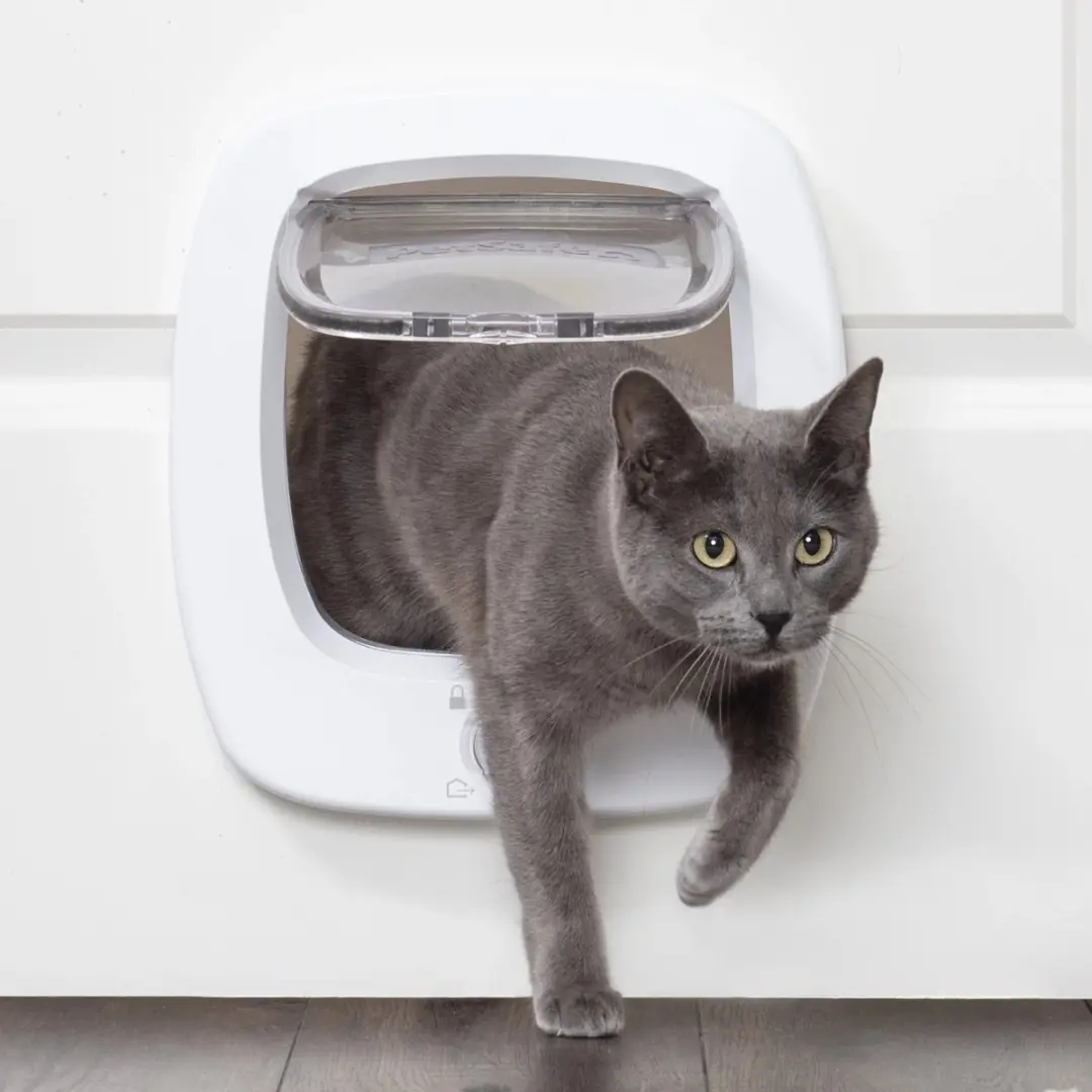 PetSafe Big Cat 2.0 Kattenluik - GentleClose - afbeelding 2 van 5