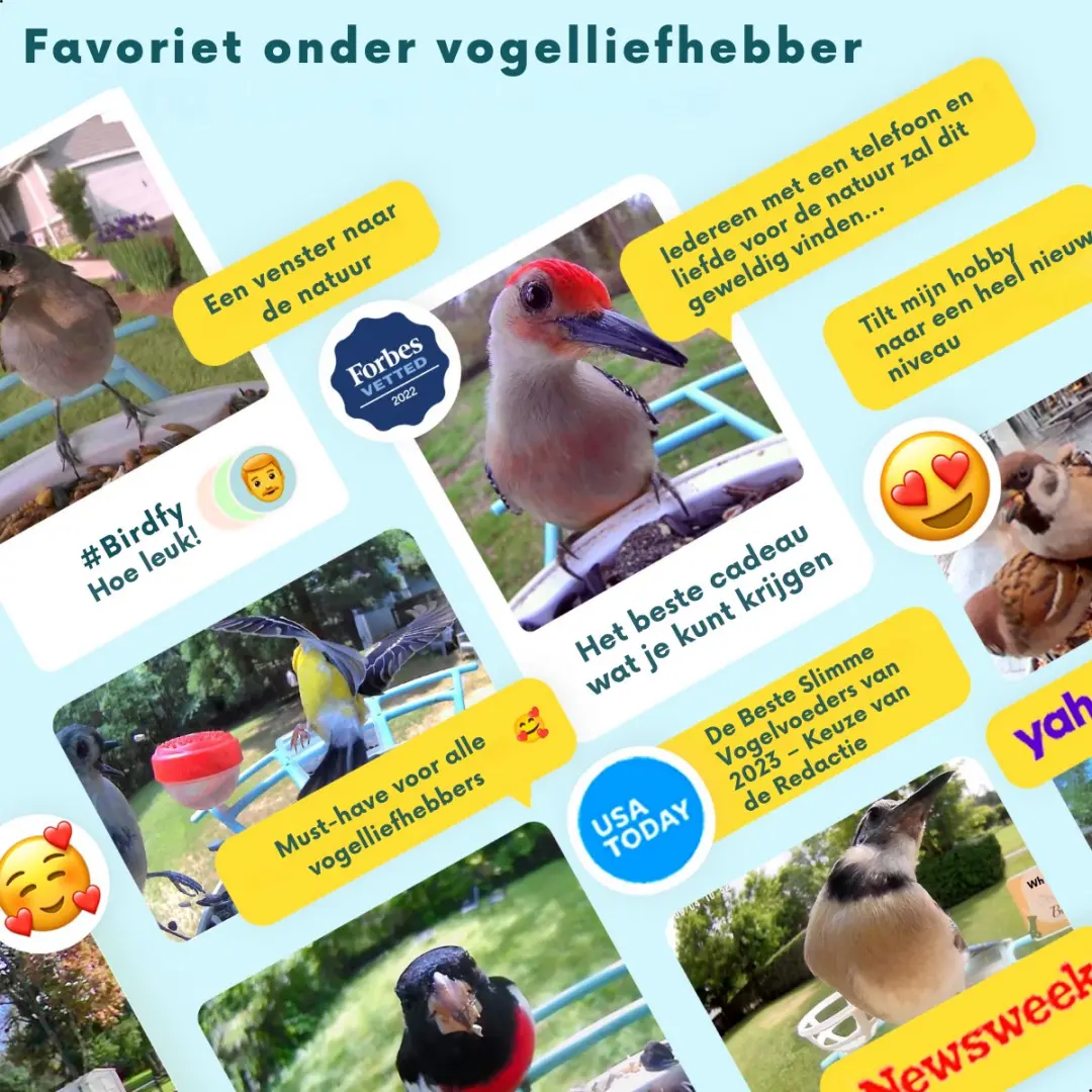 Birdfy Feeder 1 Vogelvoederhuisje met Camera - afbeelding 4 van 6
