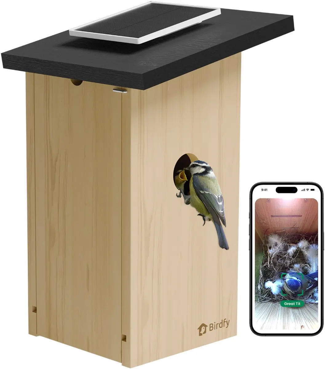Birdfy Nest Ebony