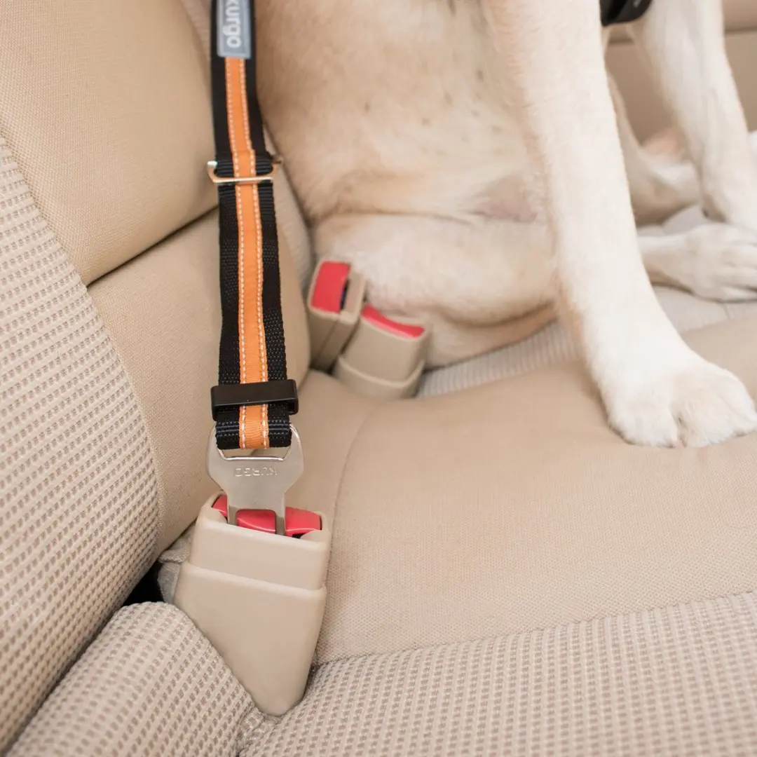 Kurgo Direct to Seatbelt Tether Veiligheidsgordel Hond - afbeelding 4 van 6