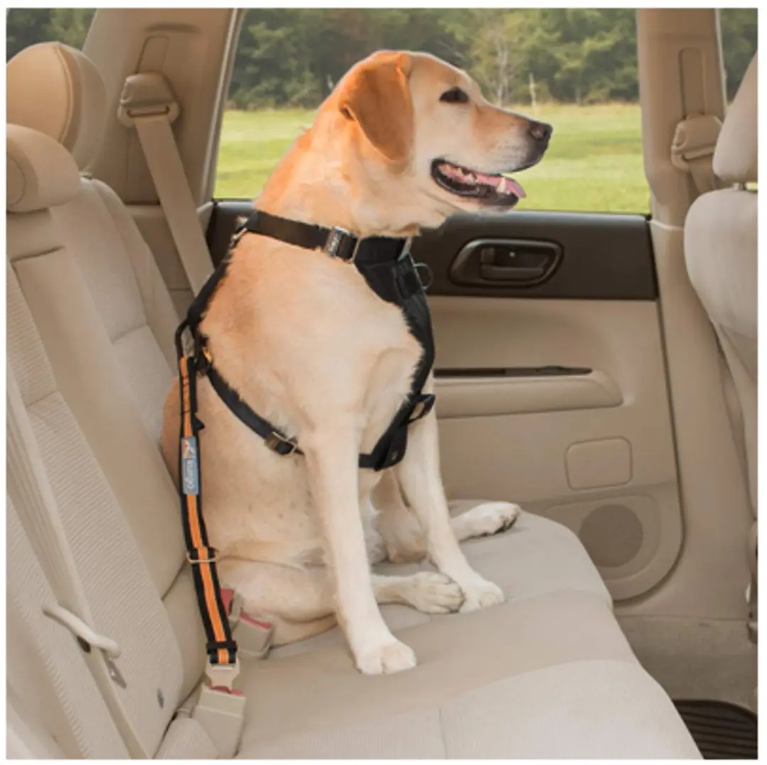 Kurgo Direct to Seatbelt Tether Veiligheidsgordel Hond - afbeelding 2 van 6