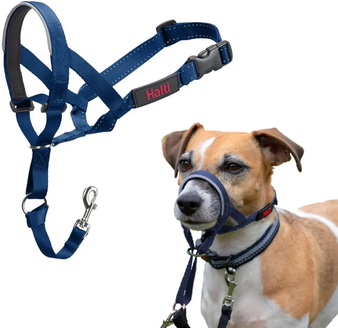 Halti Headcollar