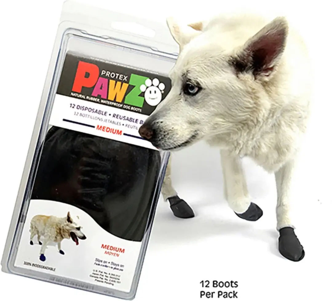 Pawz Hondenschoenen Medium - 12 Stuks - Zwart - afbeelding 2 van 6