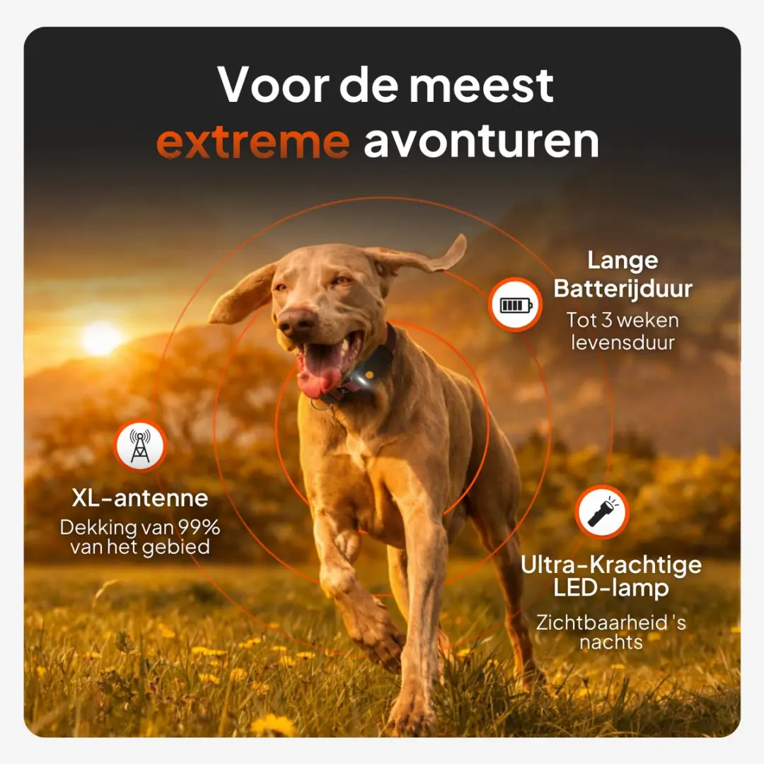 Weenect Dog XT WTE09BLKEN01W GPS-tracker - Zwart - afbeelding 6 van 6
