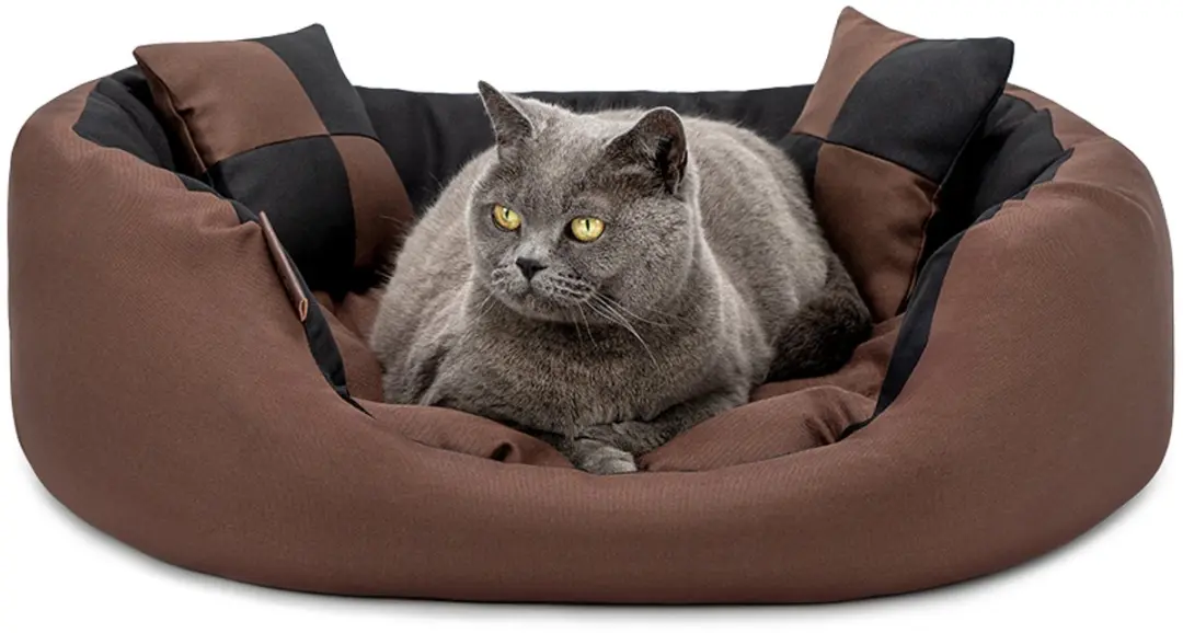 lionto Kattenbed 4-in-1 design met speelkussens, 65x50 cm zwart/bruin