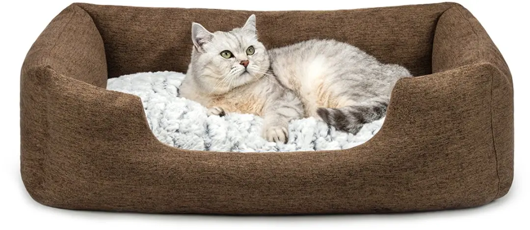 lionto Kattenbed, omkeerbaar kussen & lage instap, 80x60 cm bruin