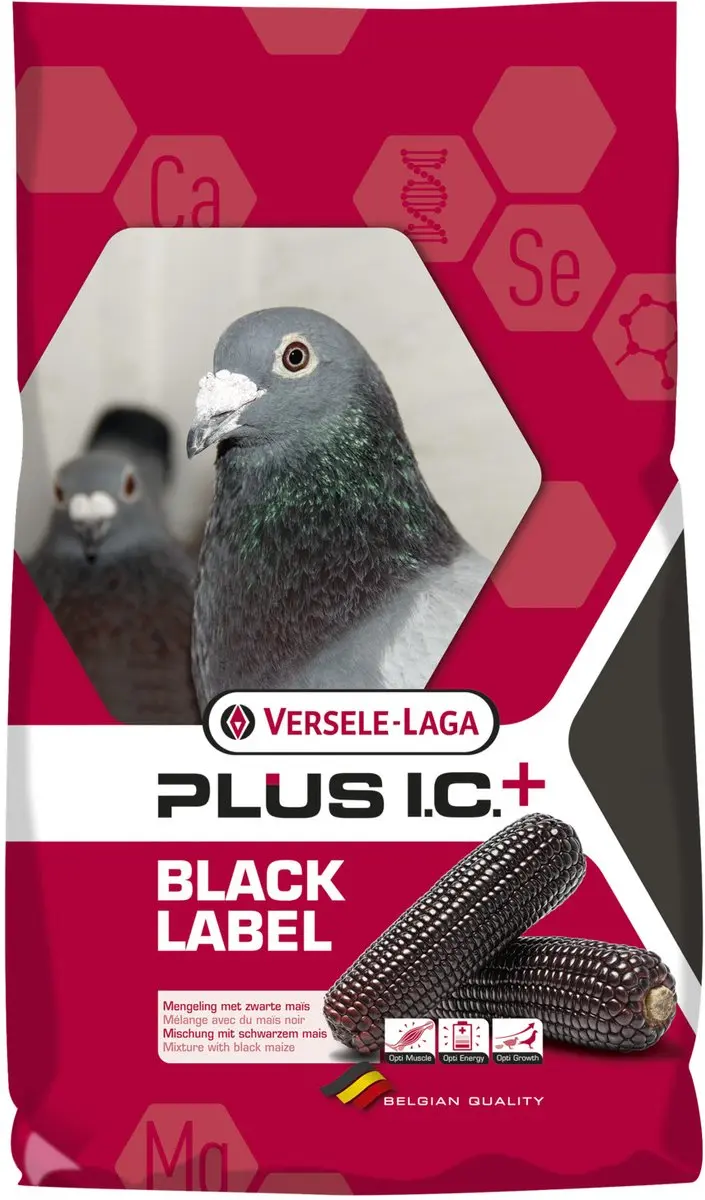 Versele-Laga I.C.+ Champion Black Label Sport
