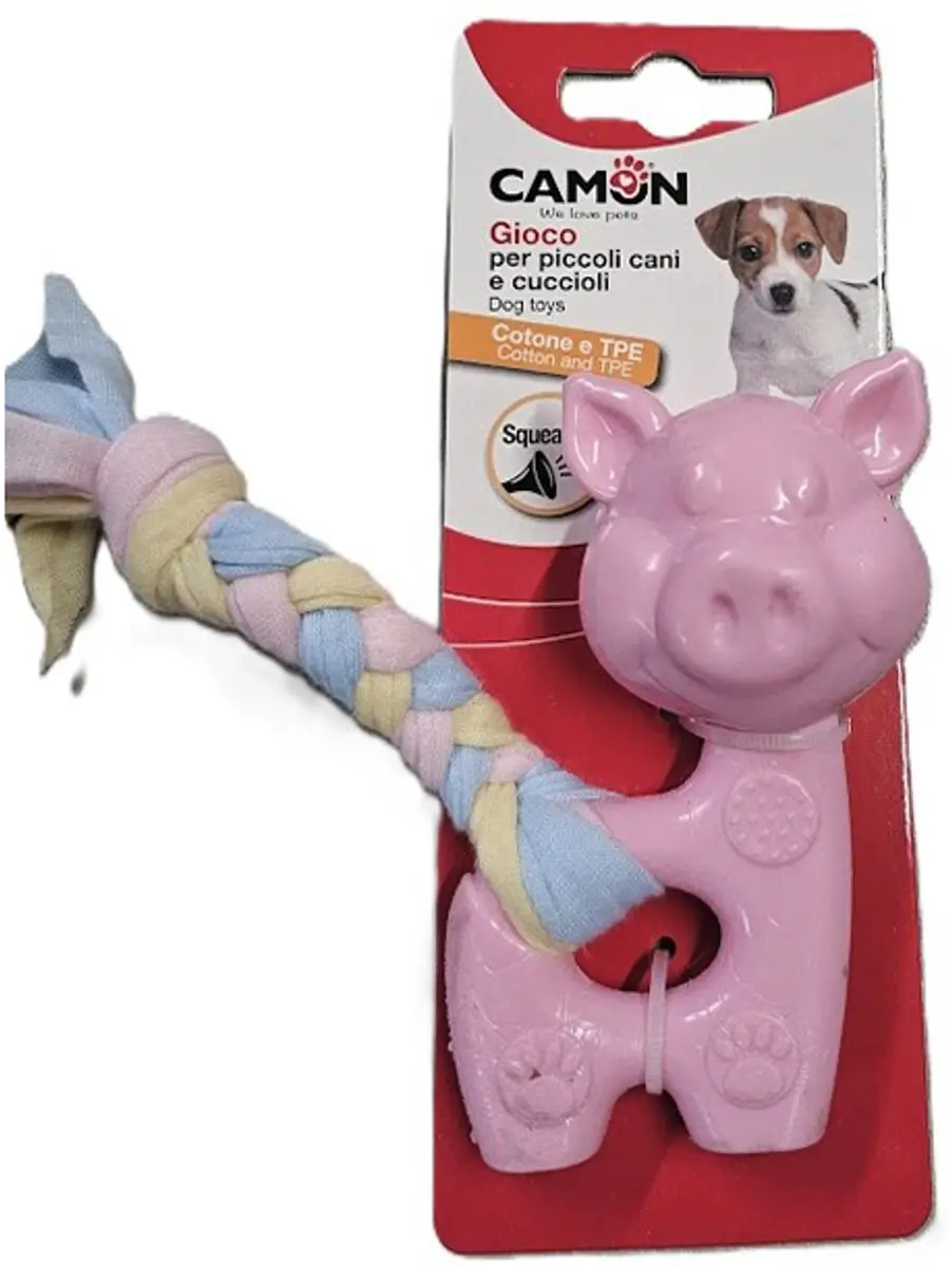 camon