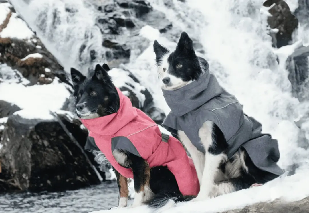 Hurtta Expedition Parka - Beetroot - afbeelding 5 van 5