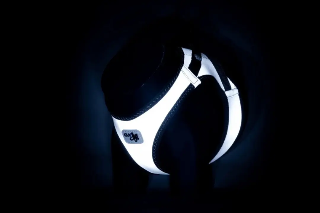 Curli Clasp Glow Reflecterend Hondenharnas - Grijs M - afbeelding 3 van 4