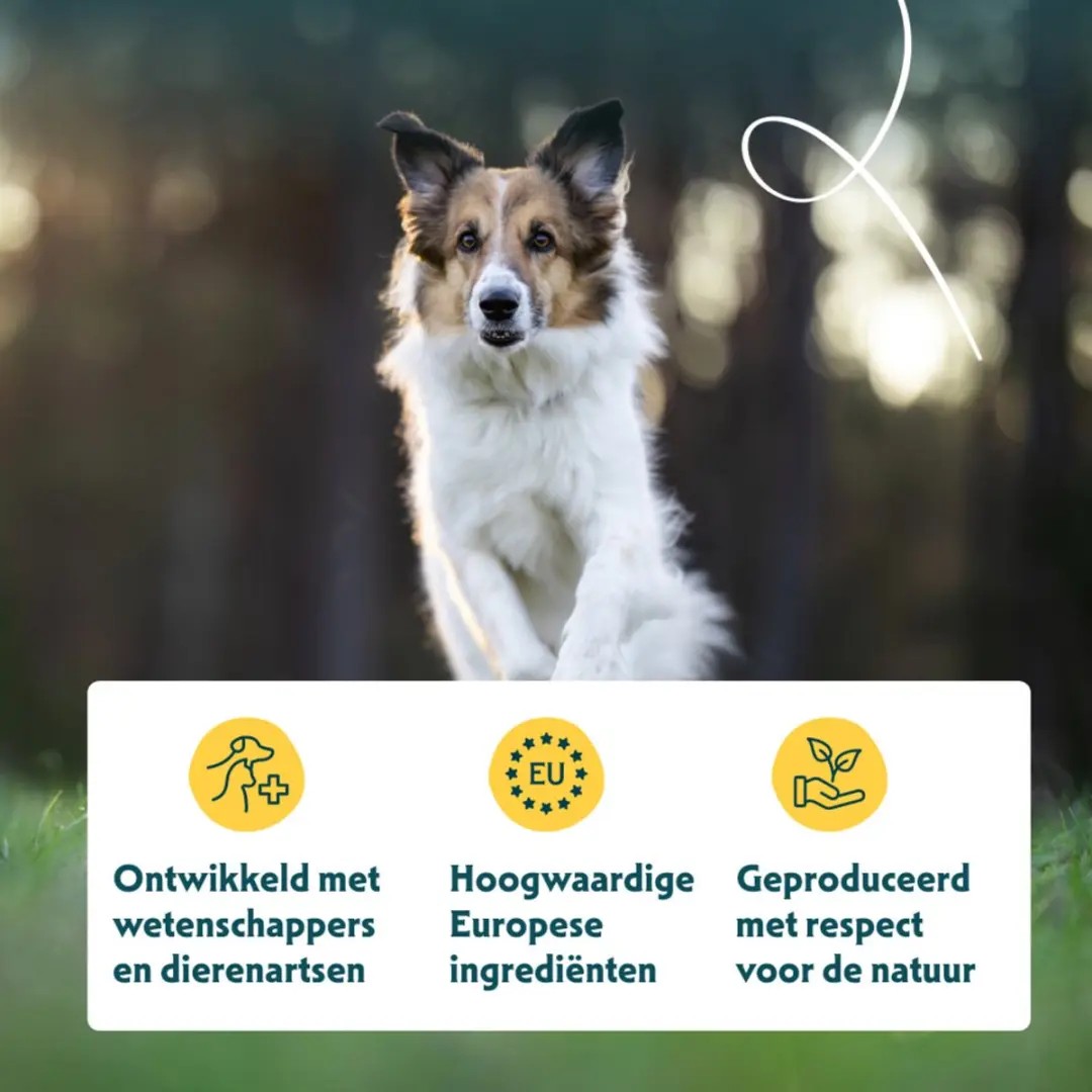 Yarrah Bio Hondenvoer Sensitive Adult Kip & Rijst 10 kg - afbeelding 5 van 6