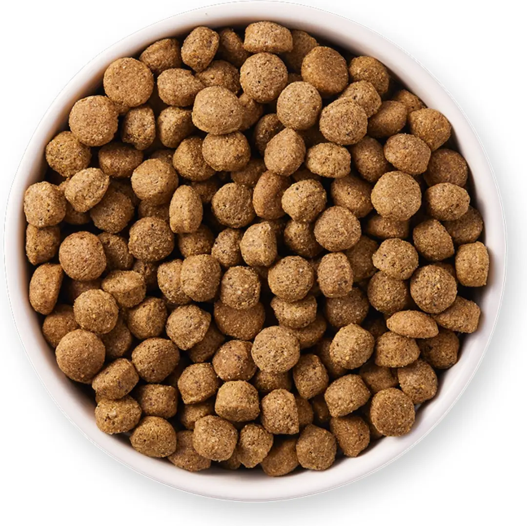 Yarrah Bio Hondenvoer Sensitive Adult Kip & Rijst 10 kg - afbeelding 4 van 6