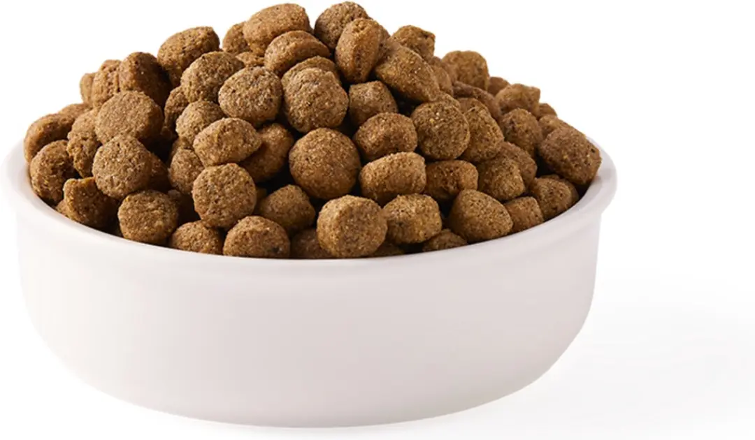 Yarrah Bio Hondenvoer Sensitive Adult Kip & Rijst 10 kg - afbeelding 3 van 6