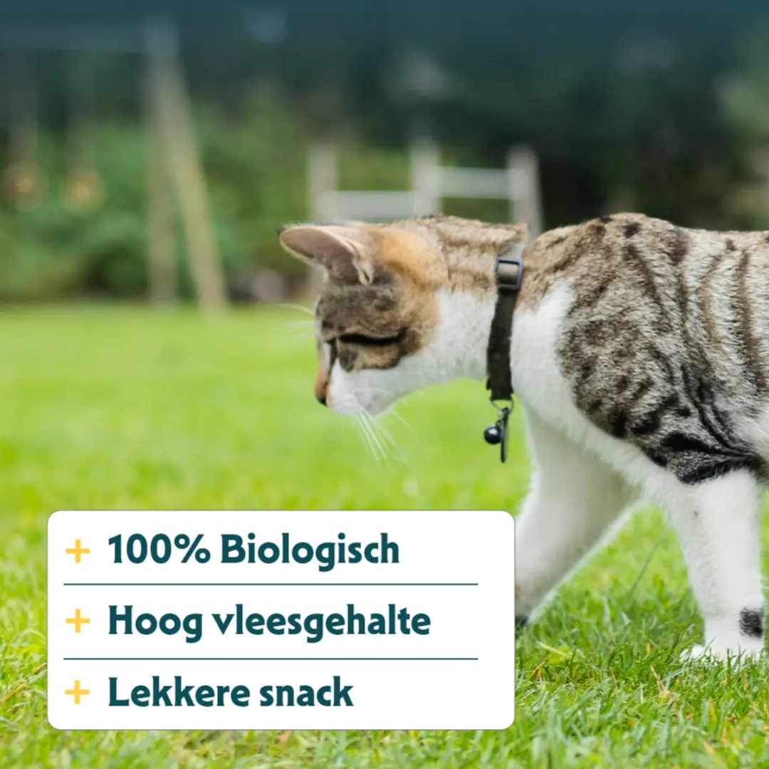 Yarrah Bio Kauwstaafjes Kat Vis - 25x 15g - afbeelding 4 van 6