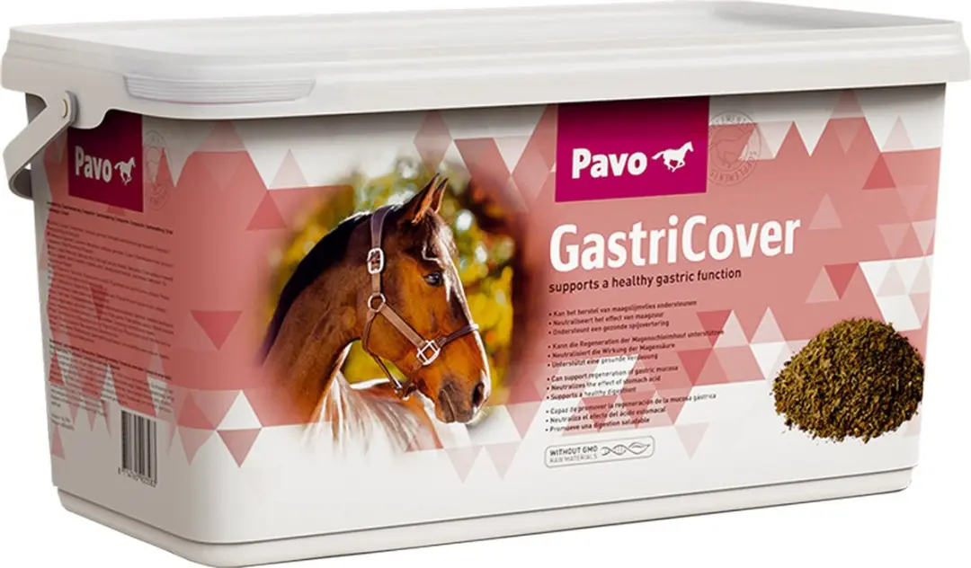 Pavo GastriCover