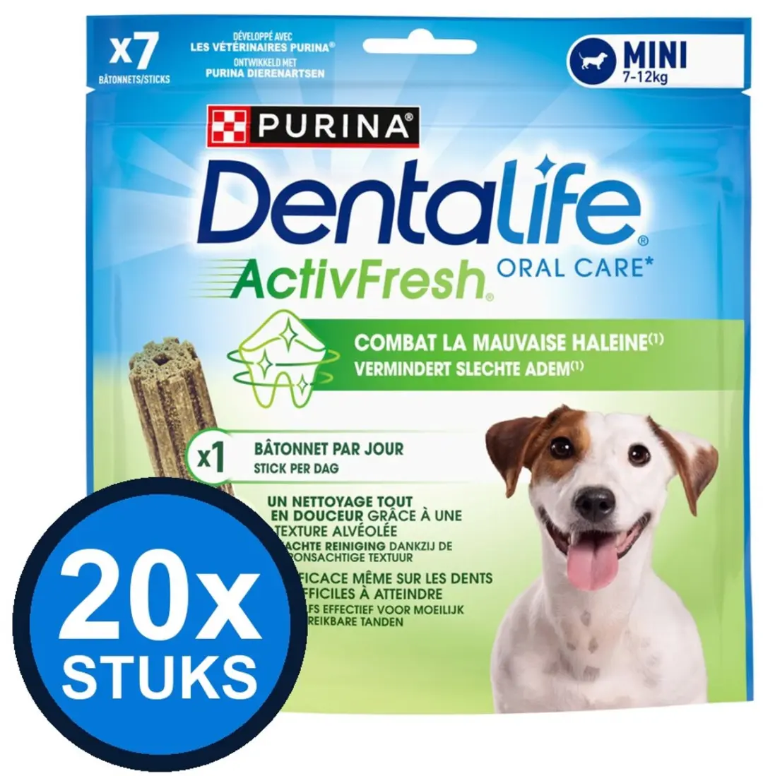 20x Dentalife