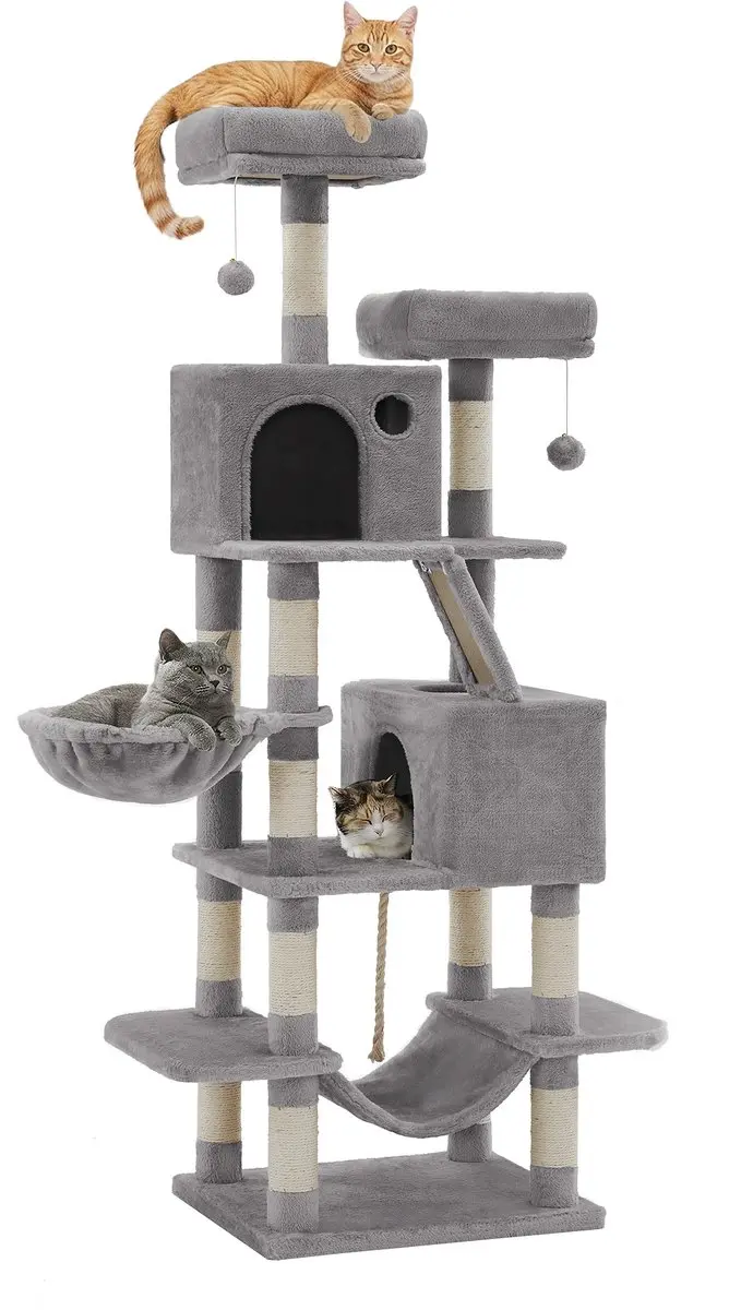 Feandrea Mauzi Kattenboom