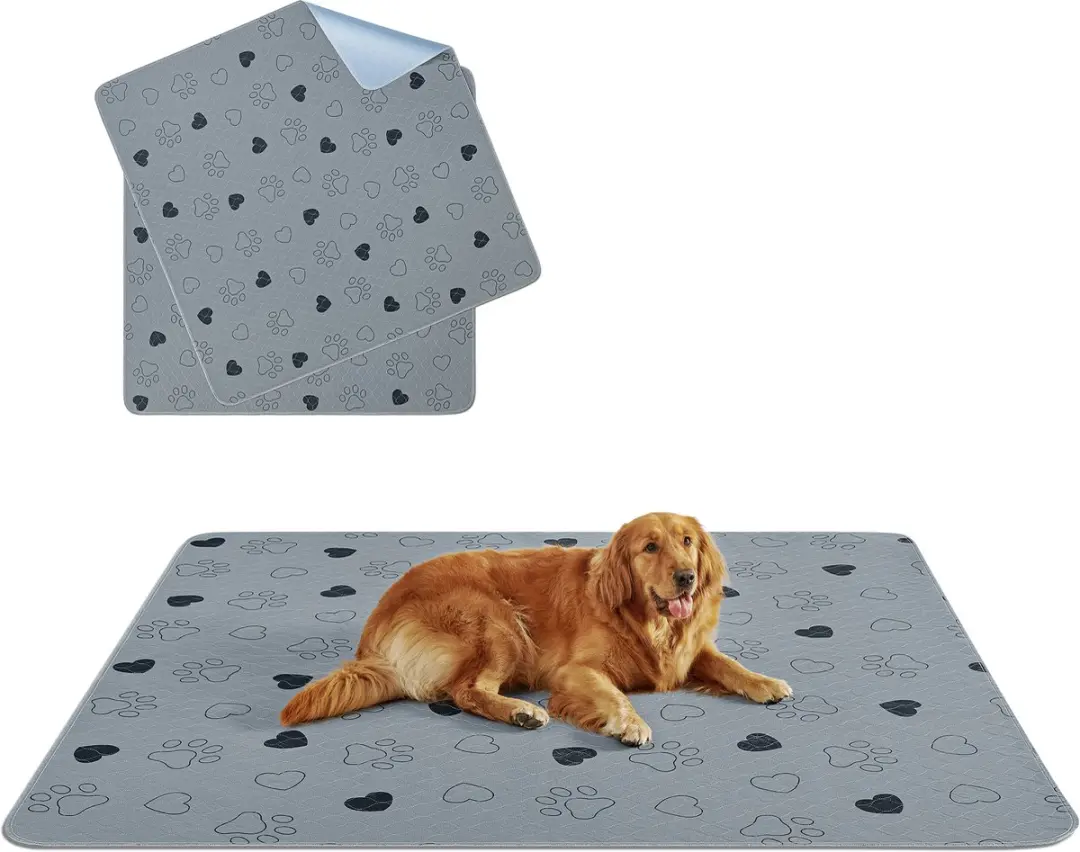 Feandrea Trainingsmat Puppy XXL