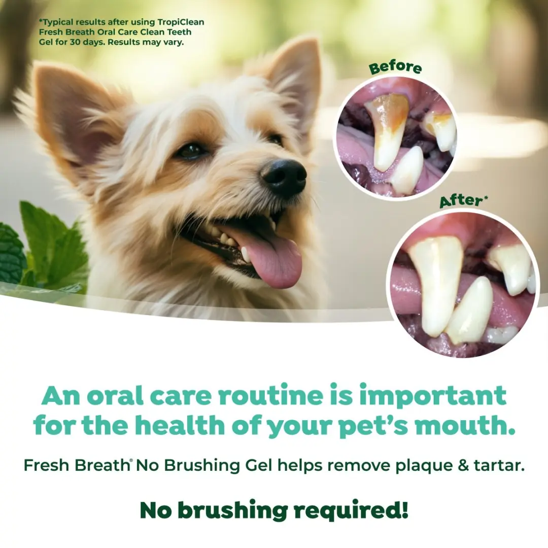 TropiClean Fresh Breath Tandgel Honden - Pindakaas - afbeelding 6 van 6