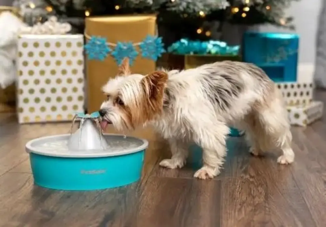 PetSafe Drinkwell Vlinder Drinkfontein - 1,5L - Blauw - afbeelding 6 van 6