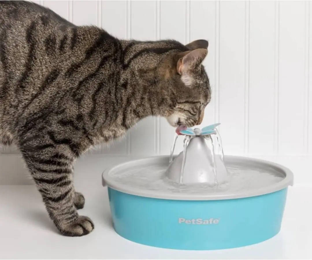 PetSafe Drinkwell Vlinder Drinkfontein - 1,5L - Blauw - afbeelding 3 van 6