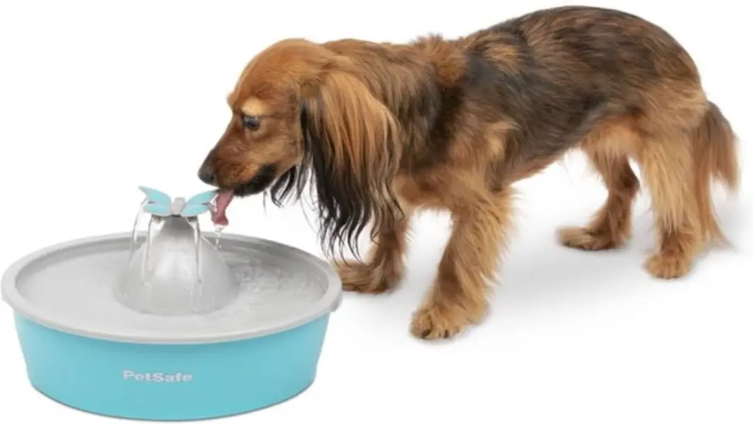 PetSafe Drinkwell Vlinder Drinkfontein - 1,5L - Blauw - afbeelding 2 van 6