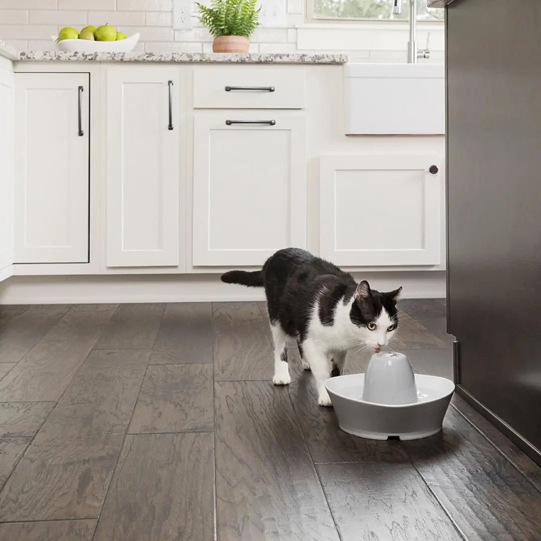 PetSafe Streamside Keramische Drinkfontein - 1,8 liter - afbeelding 4 van 6
