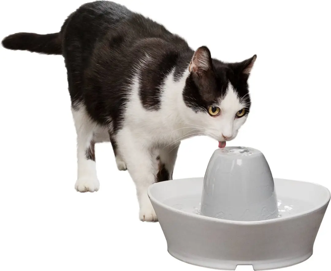 PetSafe Streamside Keramische Drinkfontein - 1,8 liter - afbeelding 2 van 6