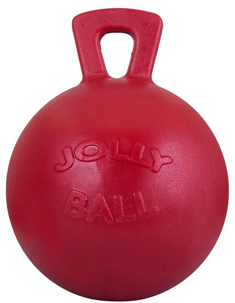 Jolly Pets Jolly Ball