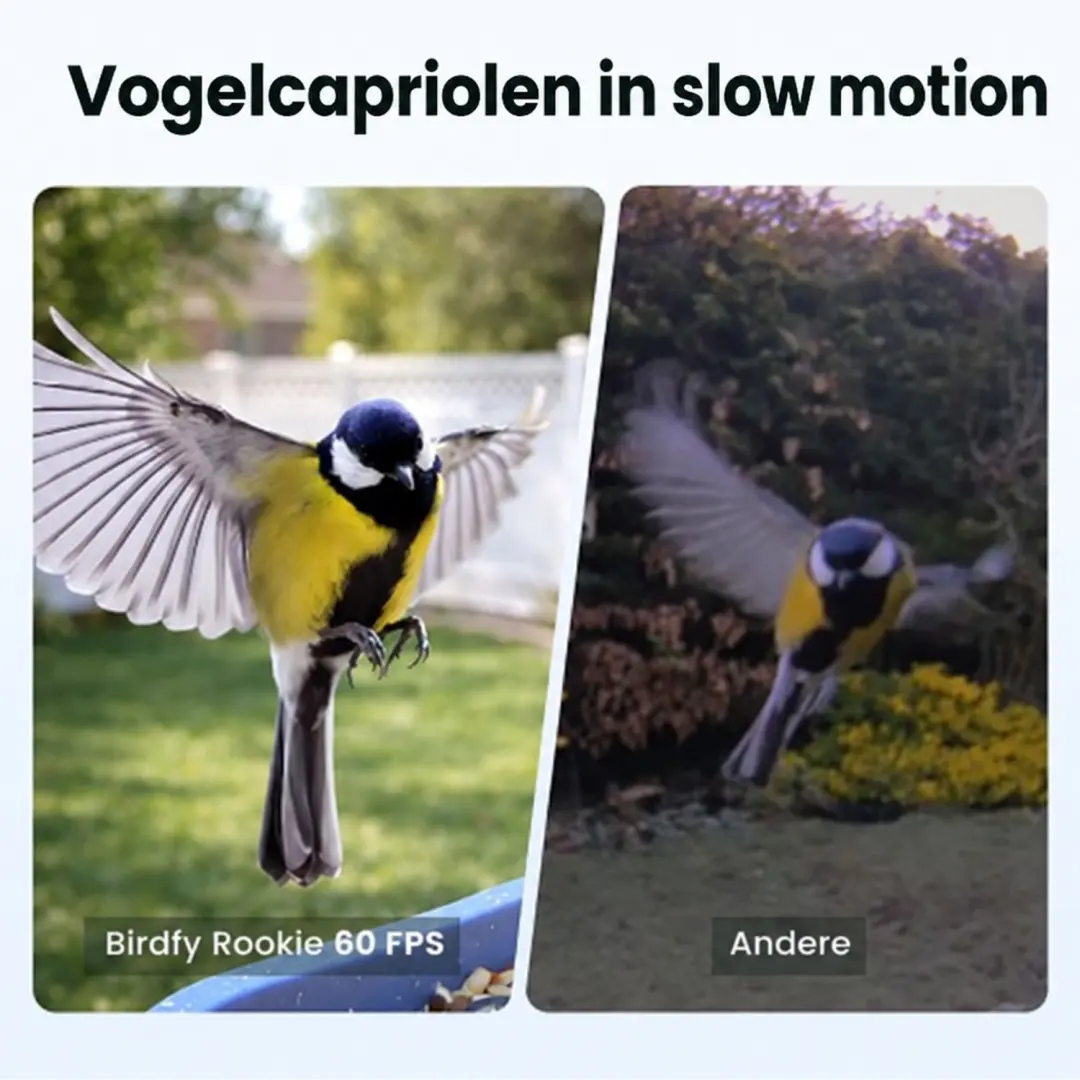 Birdfy Feeder Rookie Vogelhuisje met Camera - Blauw - afbeelding 6 van 6
