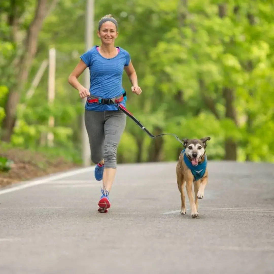 Kurgo Springback Hondenriem Hardlopen - Zwart S - afbeelding 2 van 6
