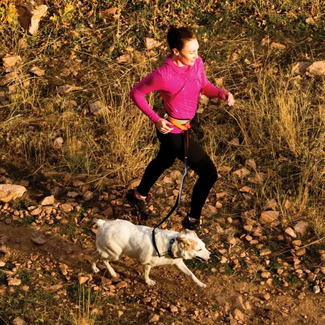 Kurgo Springback Hondenriem Hardlopen - Zwart S - afbeelding 3 van 6