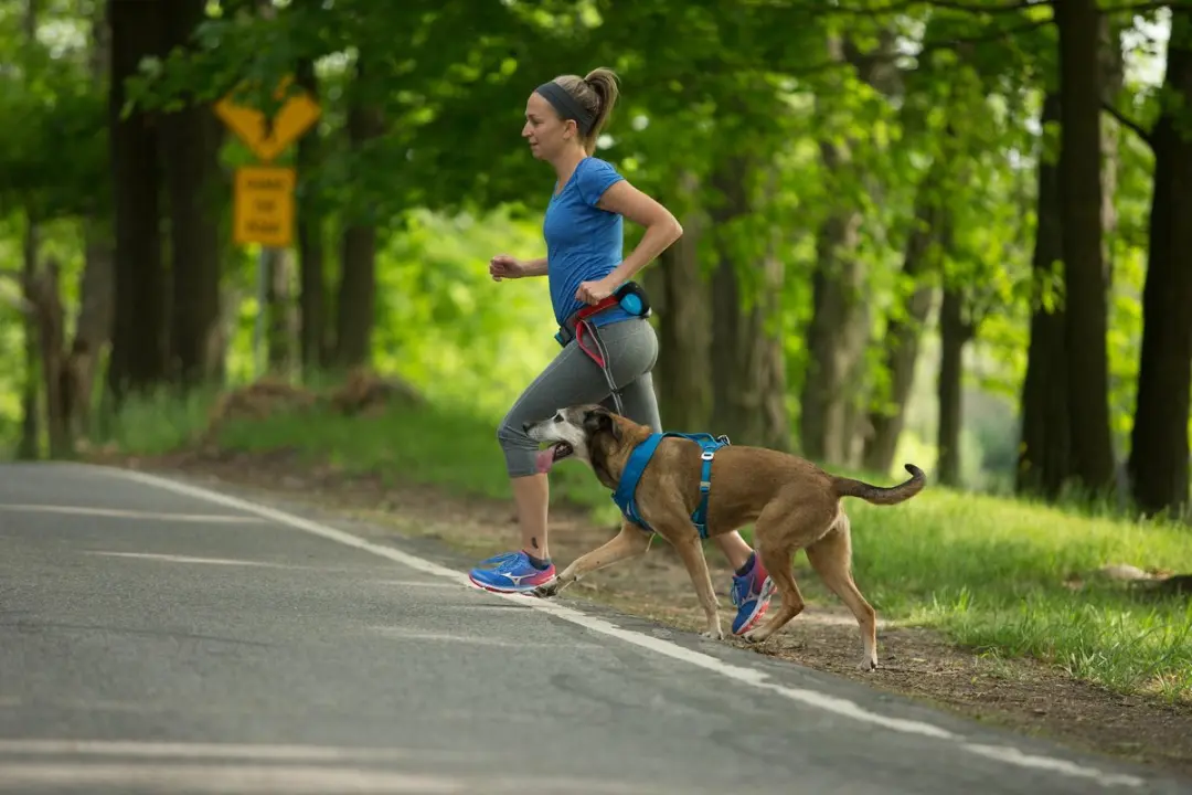 Kurgo Springback Hondenriem Hardlopen - Zwart S - afbeelding 5 van 6